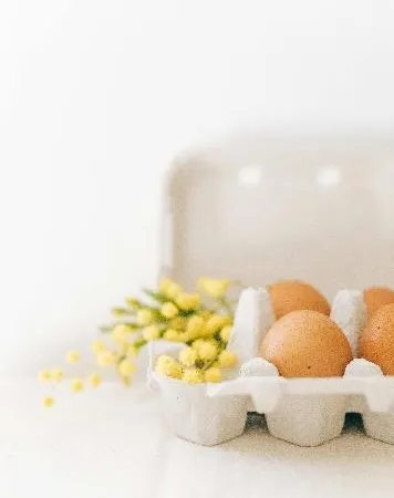 Vetverbranden: Focus op Calorieën Tekort